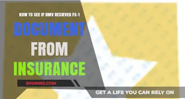How to Verify DMV Receipt of Your FS-1 Insurance Document