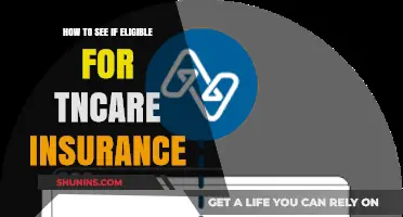 Check Your TNCare Insurance Eligibility: A Step-by-Step Guide