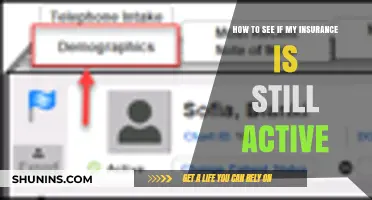Check Your Coverage: Quick Steps to Verify Active Insurance Status