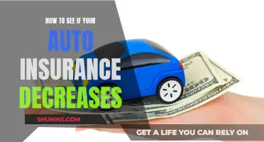 Auto Insurance Decreases: Factors and Ways to Check