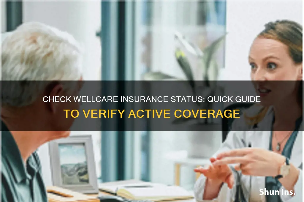 how to see if your wellcare insurance is active