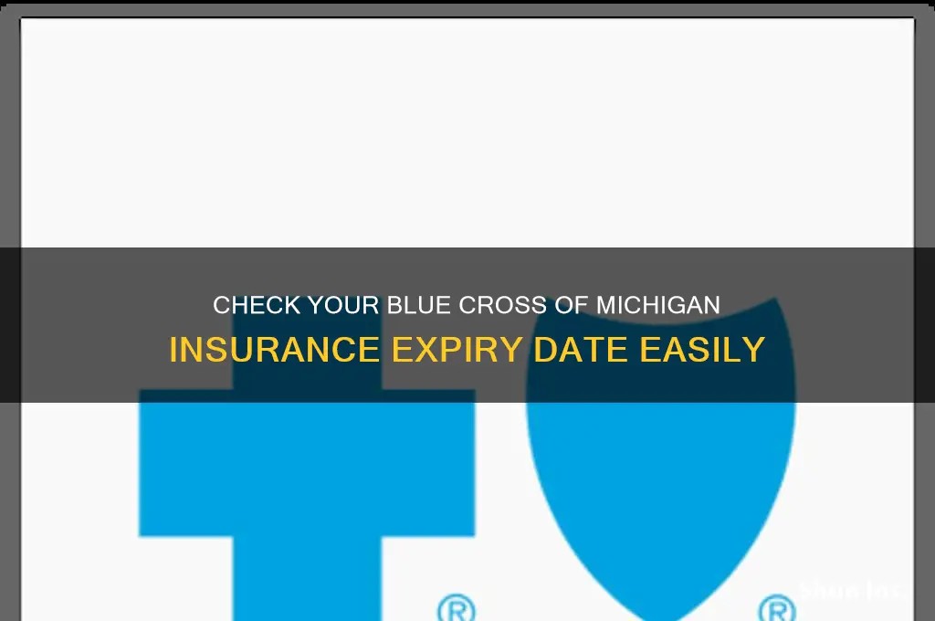 how to see insurance expiry date blue cross of michgan