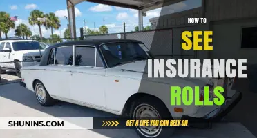 Understanding Insurance Rolls: A Step-by-Step Guide to Accessing Records