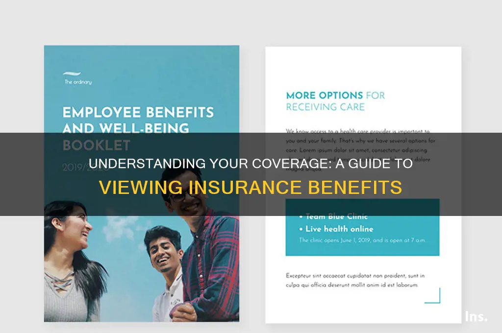 how to see my insurance