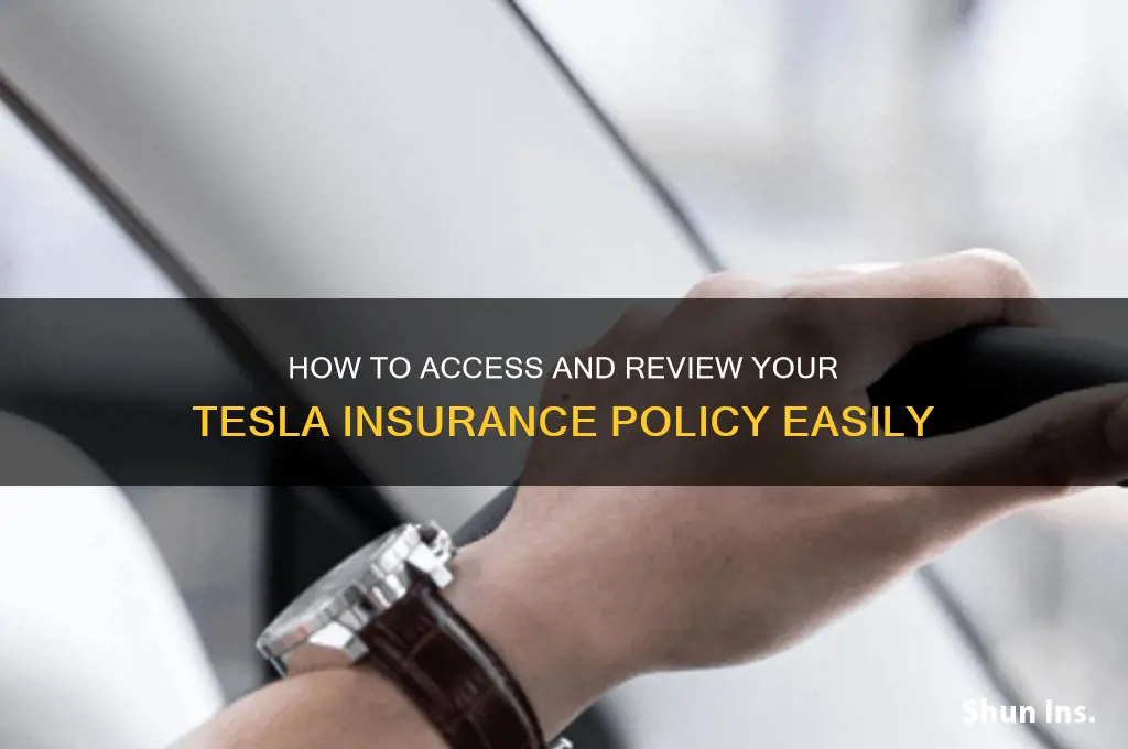how to see my tesla insurance