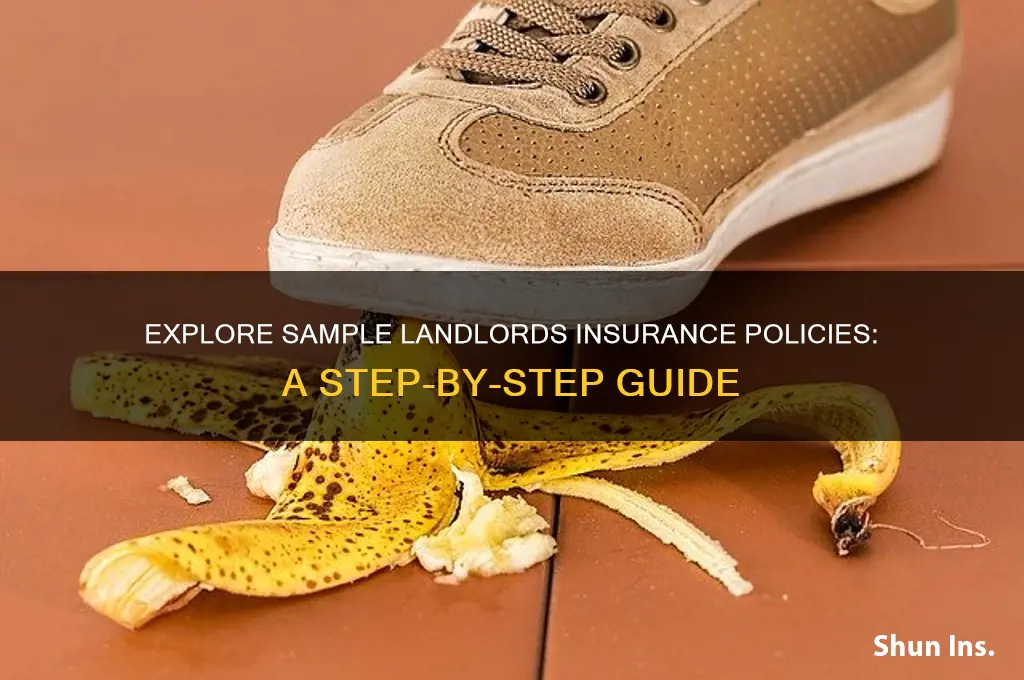 how to see sample landlords insurance
