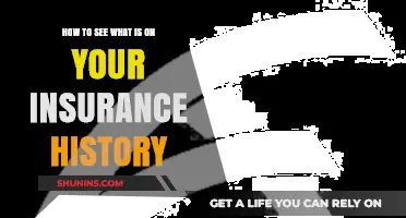 How to Access and Understand Your Insurance History Easily