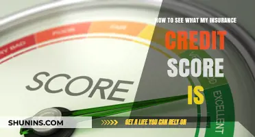 Check Your Insurance Credit Score: A Simple Guide to Accessing It