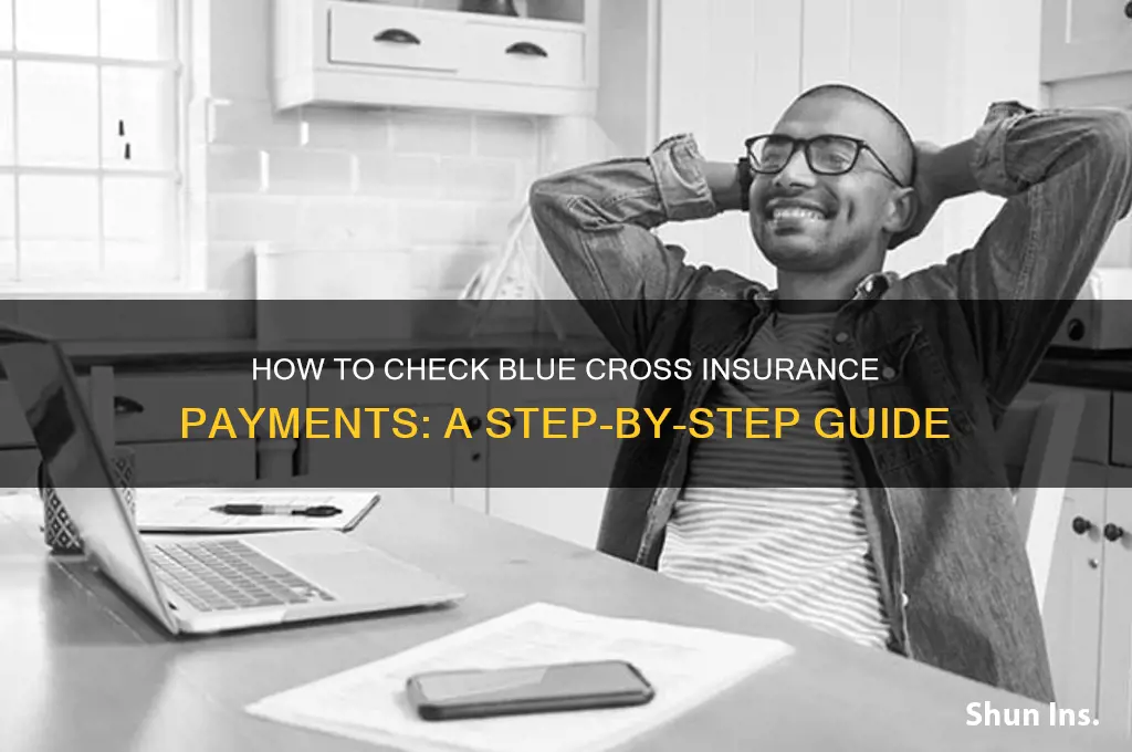 how to see what my insurance has paid blue cross