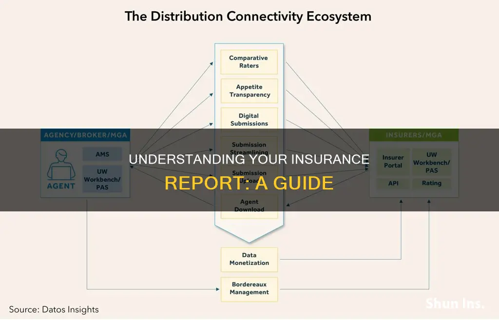 how to see whats on your insurance report