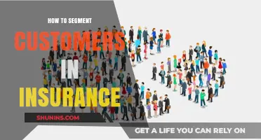 Effective Customer Segmentation Strategies for Insurance Industry Success