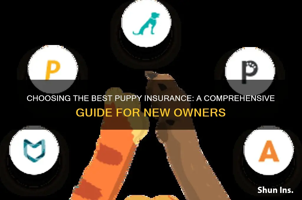 how to select puppy insurance