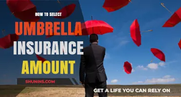 Choosing the Right Umbrella Insurance Coverage: A Comprehensive Guide