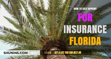 Self-Appointing for Insurance in Florida: What You Need to Know