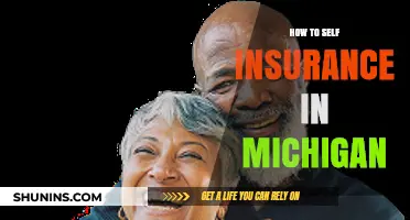 Self-Insurance in Michigan: A Step-by-Step Guide for Residents