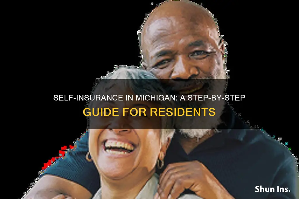 how to self insurance in michigan