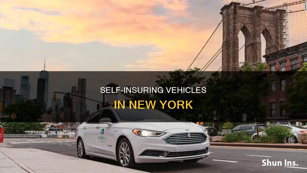 how to self insure a vehicle in New York