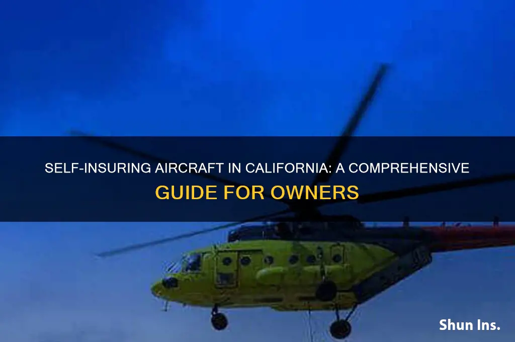 how to self insure aircraft in california