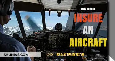 Self-Insuring Your Aircraft: A Comprehensive Guide for Owners