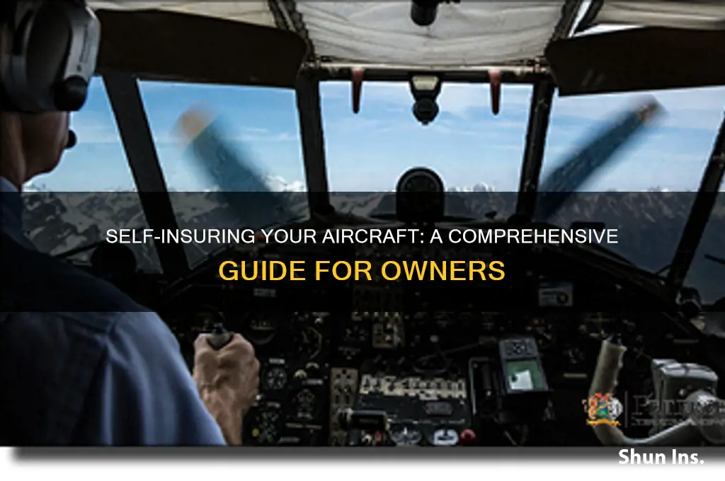how to self insure an aircraft