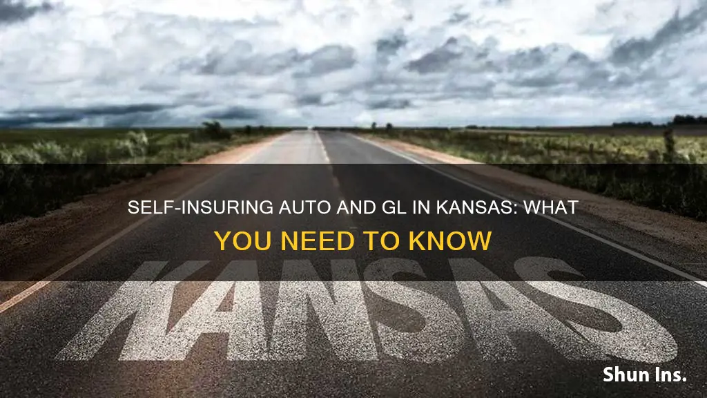 how to self-insure auto and gl in kansas