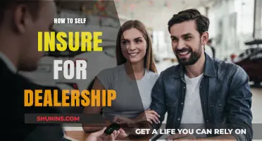 Self-Insuring Your Dealership: A Comprehensive Guide to Managing Risks