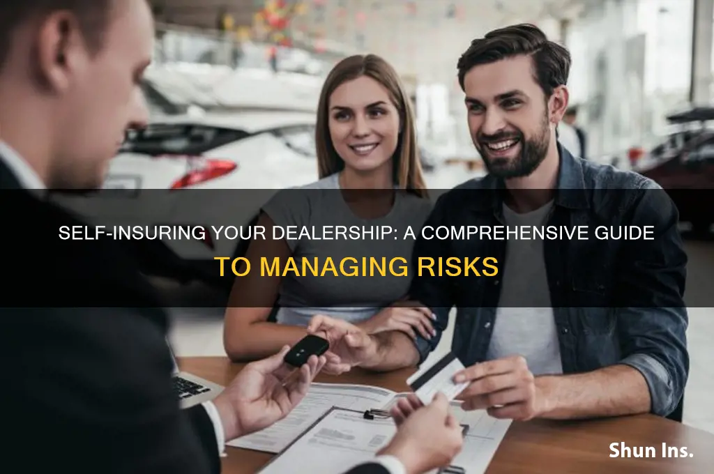 how to self insure for dealership