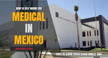 Self-Insuring for Medical Care in Mexico: A Guide