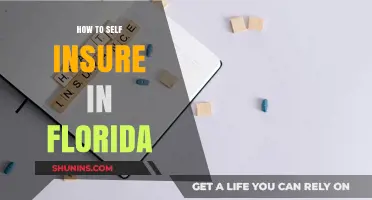 Self-Insuring in Florida: What You Need to Know