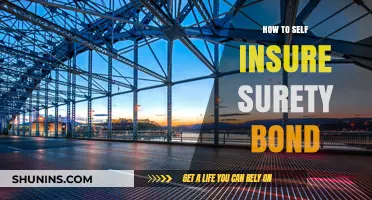 Self-Insuring Surety Bonds: A Comprehensive Guide to Managing Risk