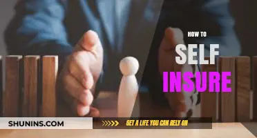 Mastering Self-Insurance: A Comprehensive Guide to Protecting Your Assets