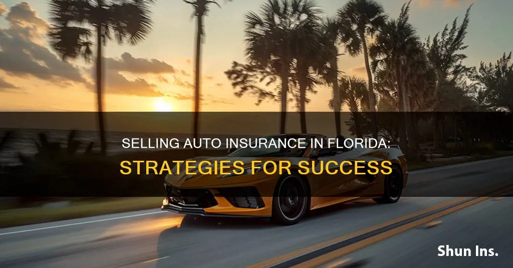 how to sell auto insurance in Florida