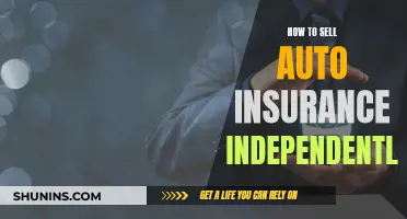 Strategies for Independent Auto Insurance Sales Success