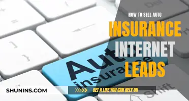 Selling Auto Insurance: Internet Leads and Strategies