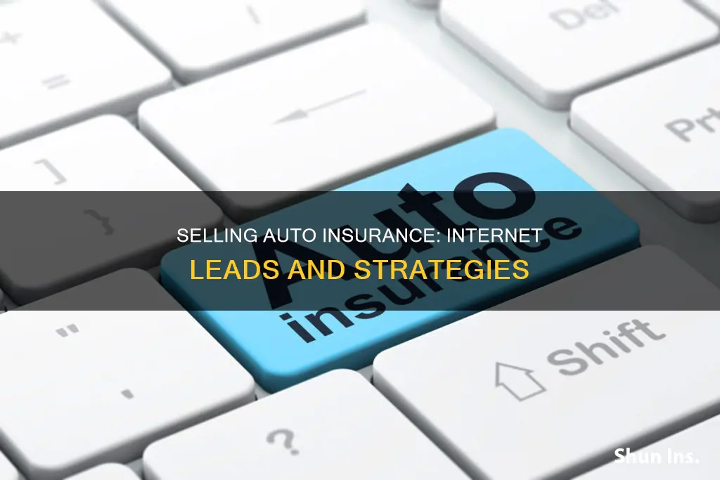 how to sell auto insurance internet leads