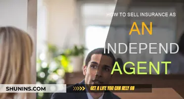 Independent Insurance Agent: Strategies for Successful Sales