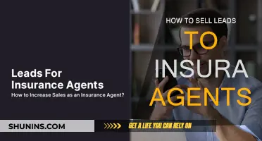 Profiting from Leads: Selling Insurance Agents on Your Services