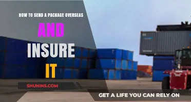 Securely Ship Overseas: Insuring Your International Package Step-by-Step