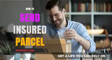 Securely Send Insured Parcels: A Step-by-Step Guide for Peace of Mind