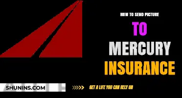 Easy Steps to Submit Photos to Mercury Insurance for Claims