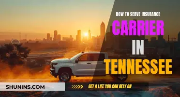 Serving Insurance Carriers in Tennessee: A Guide