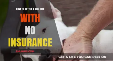 Settling Dog Bite Claims Without Insurance: A Comprehensive Guide