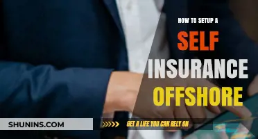 Mastering Offshore Self-Insurance: A Step-by-Step Setup Guide