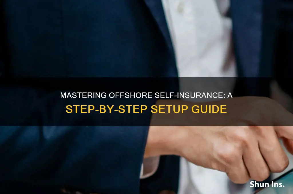 how to setup a self insurance offshore