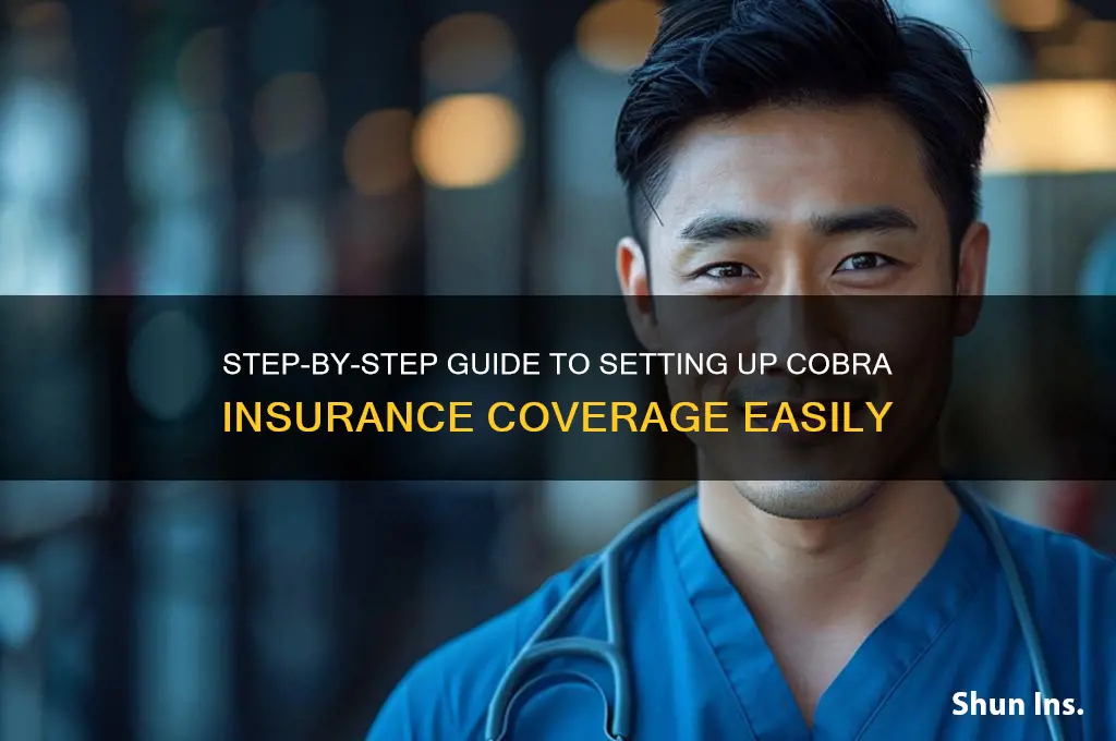 how to setup cobra insurance