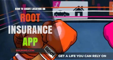 Share Your Location Easily on Root Insurance App: A Quick Guide