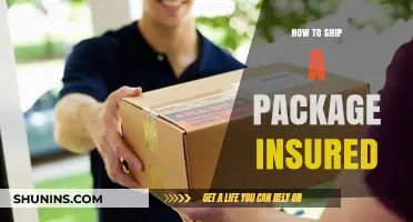 Securely Ship Your Package: A Guide to Insured Shipping