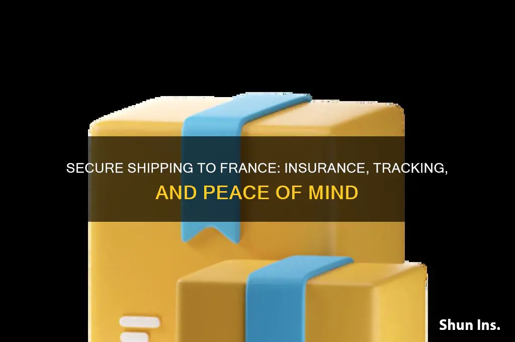 how to ship to france with insurance and tracking