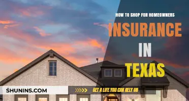 Shopping for Homeowners Insurance in Texas: A Guide