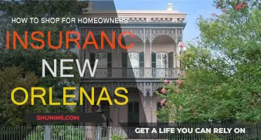 Shopping for Homeowners Insurance in New Orleans: A Guide